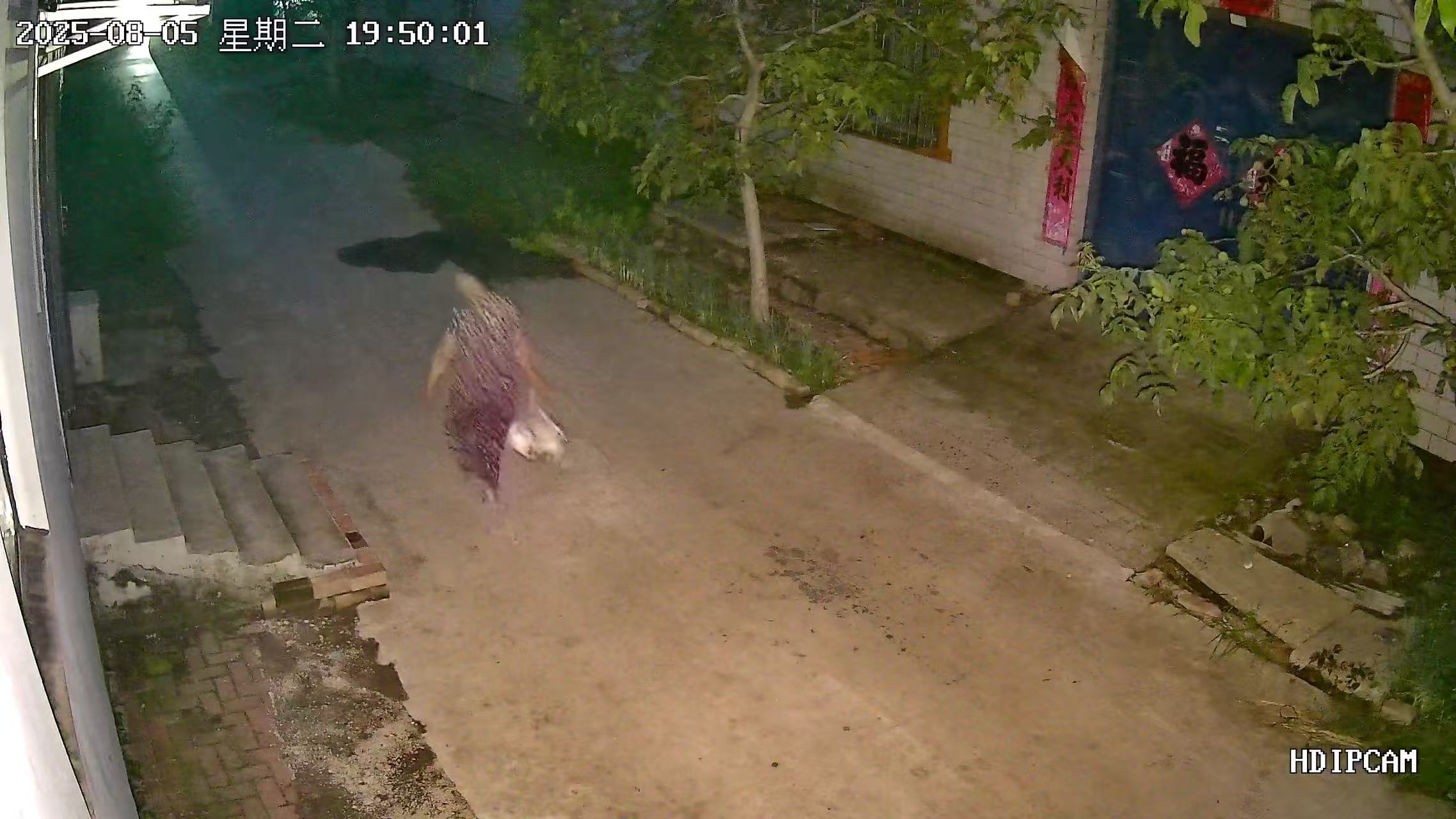 夜晚来人亮灯效果